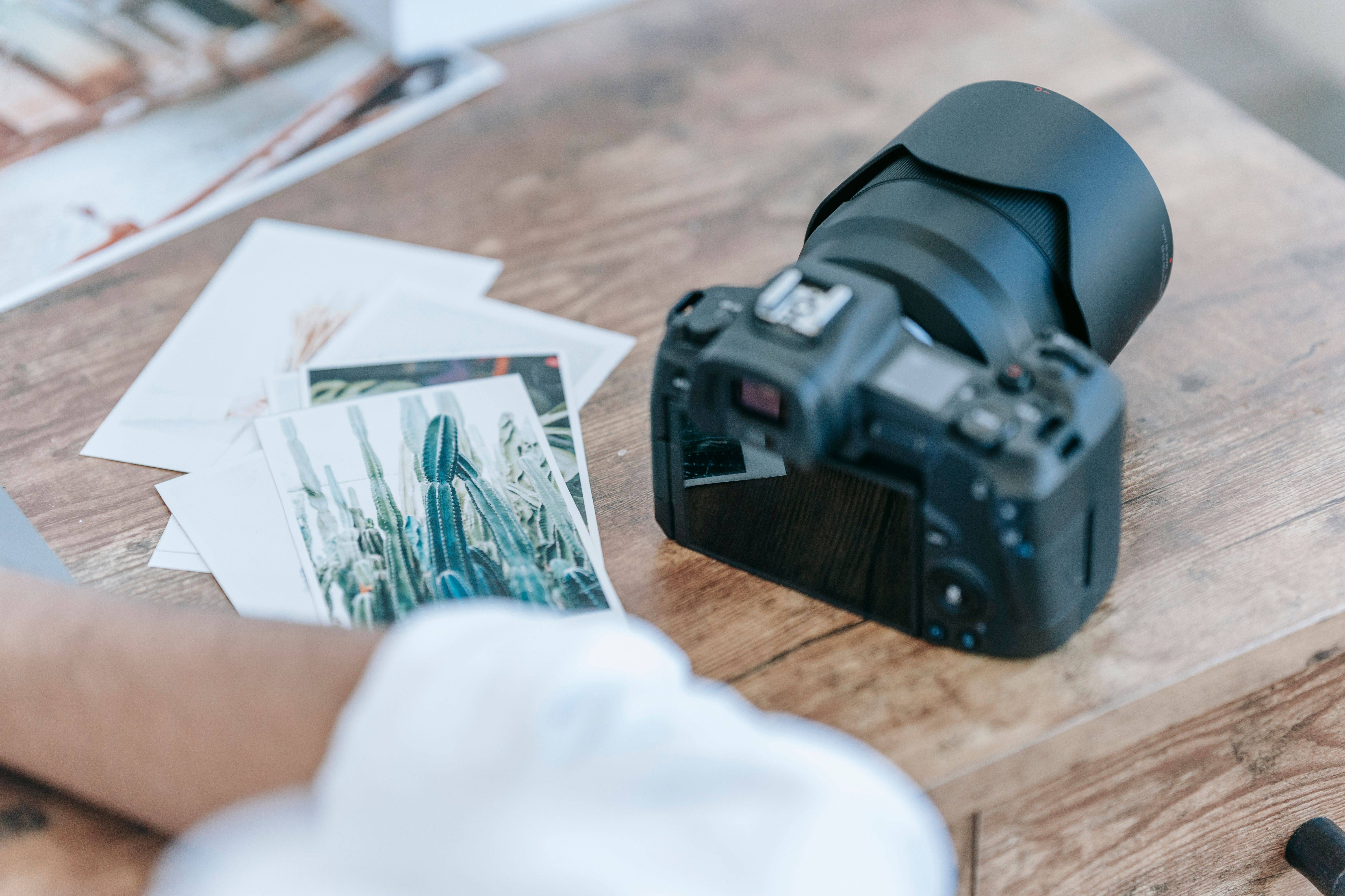 Stretch Your Lens Budget, Find the Best Camera and Best Camera Lenses Without Breaking the Bank
